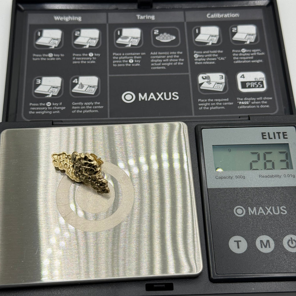 10K Nugget Earrings